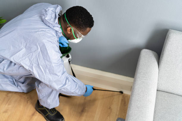 Best Fumigation Services  in Wallace, FL